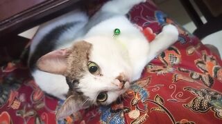 Nemo sedang sedih