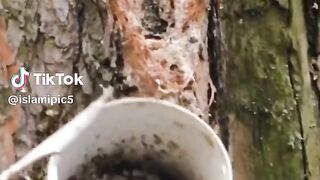 lslamic video
