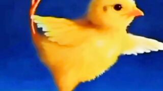 Amazing Dance Viral Video 2024
