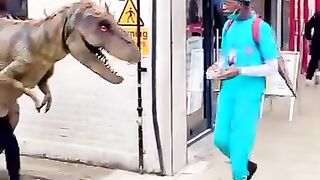 funny video 2024