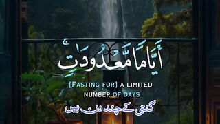 Tilawat quran