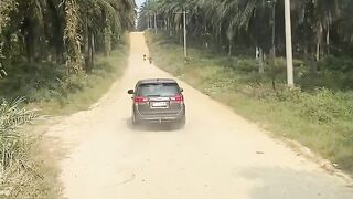 Minuman khas nusantara sumatra