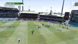 Australia vs India 1st odi highlights