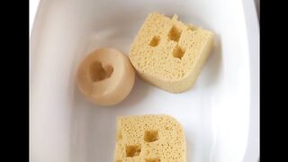 "Exploring the Mesmerizing Sounds of Sponge Life: SpongeSounds"