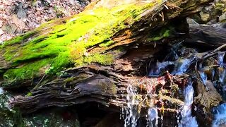 NATURE 10