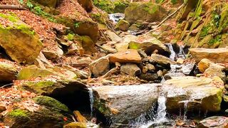 NATURE 9
