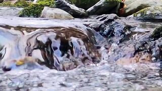 NATURE 11