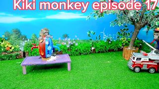 World most  intelligent  monkey take a ride. episode 17