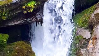 NATURE 13