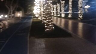 Palm Jumeirah dubai|Walking area |Dubai Night view