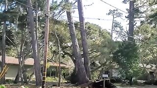 Tsunami IN LONDON