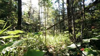 Embracing the Serenity: Exploring Nature's Wonders Through Travel