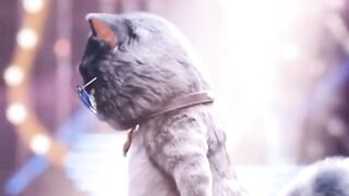 Funny videos
