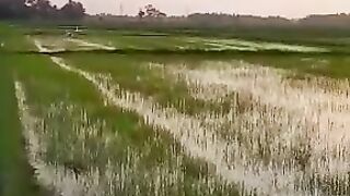 Beautiful Nature