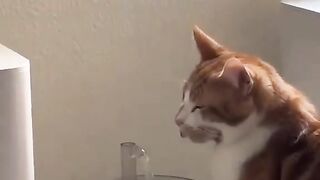 ????????????????
