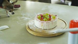 Making cake