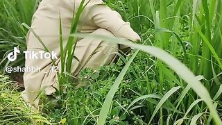 Best to funny videos.real funny videos. funny video.viral funny video.latest funny video