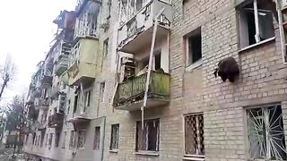 city of Belaya Tserkov, a couple of days ago, would you like to live like this??
