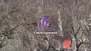 shocking video