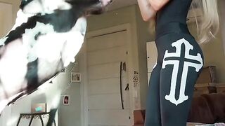 Beautiful dog
