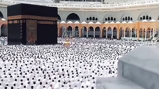انظر لجمال الموقع