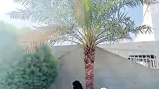 Mashallah subscribe dosto