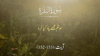 Tilawat quran translat