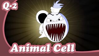 Q-1 Animal Cell