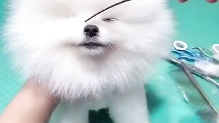 Funny baby Like and follow Me