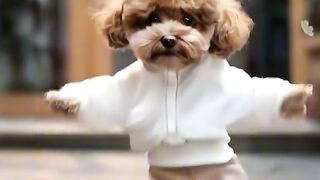Funny dance