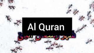 Al Quran Masha Allha ❤️????????