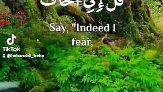 أيات قرآنيه