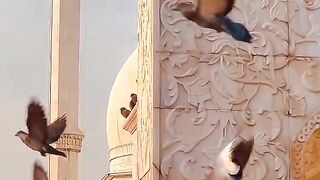 Madina Shareef