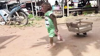 Monkey ???? amazing video great Work funny style ????