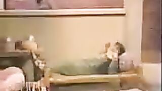 Funny videos clips