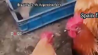 Funny Dog fight enjoy .