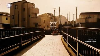 7!! - Orange