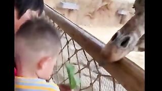 Funny compilation 2022
