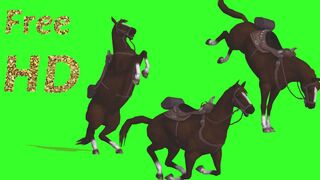 animated horse green screen| cartoon horse green screen