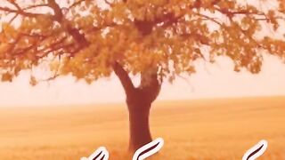 Best Heart touching Islamic Poetry |