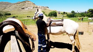 horse riding.