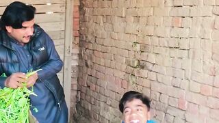 don tiktok,malik don ki shadi,malik don