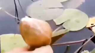 WAIT FOR IT