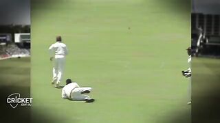Cricket