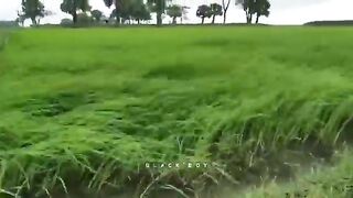 Beauty of nature