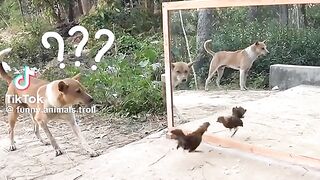 Funny