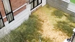 Small garden design