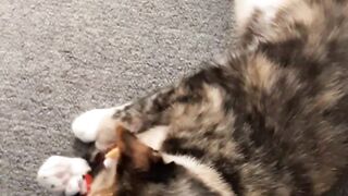 ????????