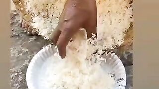 Himachali Dhaam