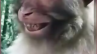 Laugh